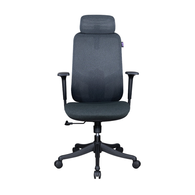 [BY ORDER] GAMING CHAIR (เก้าอี้เกมมิ่ง) NUBWO ERGONOMIC SERIES NXRGO6 (BLACK) (1Y)